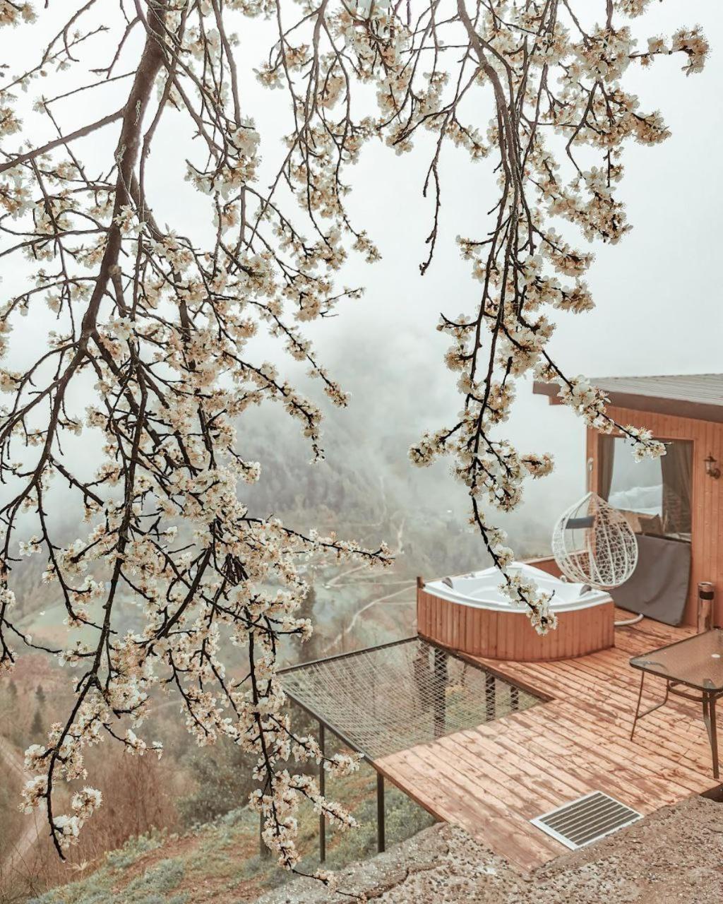 Eco House